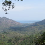 Jour 19 - Lombok 1 (Monkey Forest Road)