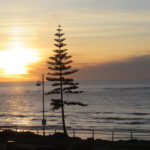 Jour 20 - sunset on Christies Beach 1