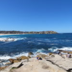 Jour 19 - Bondi to Coogee Coastal Walk à Sydney 3