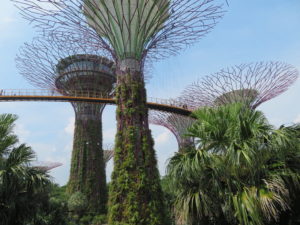 Jour 2 - Gardens by the Bay 4