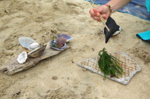 Jour 25 - Otsuchi, plage de Kirikiri 8bis (queue de barracuda aux herbes fines sur sa plaque de cuisson)