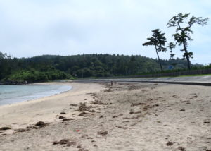 Jour 26 - Oshima, plage de Kodanohama 5