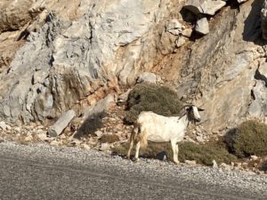 Jour 3 - Aegiali-Chora sur la route 2