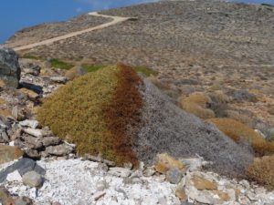 Jour 23 - Chéronissos 2